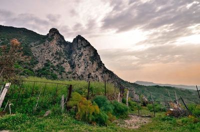 Scenic view of landscape against sky