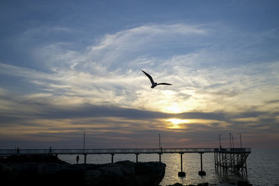 Silhouette birds flying over sea against sky