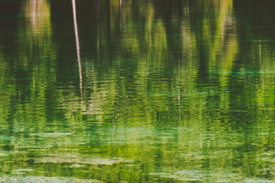 Scenic view of lake
