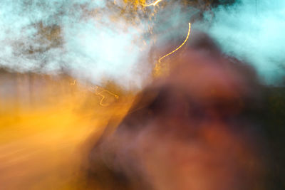 Close-up of plant against sky at sunset