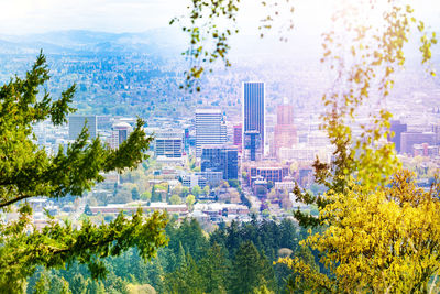 Digital composite image of trees and buildings in city