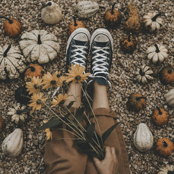 Low section of woman on ground with pumpkins