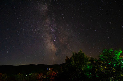 Low angle view of trees against sky at night