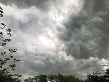 Low angle view of trees against cloudy sky
