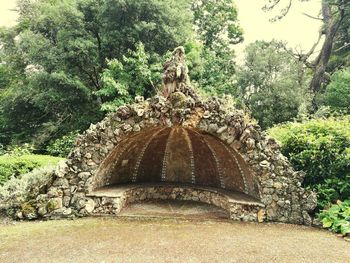 Trees against clear sky