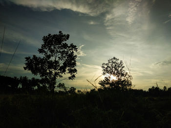 Silhouette trees on field against sky at sunset