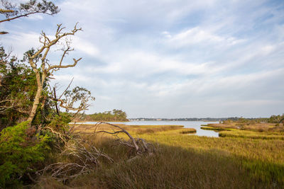 Scenic view of sea and marsh against sky croatan national forest outer banks north carolina 