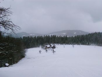 Snow covered landscape