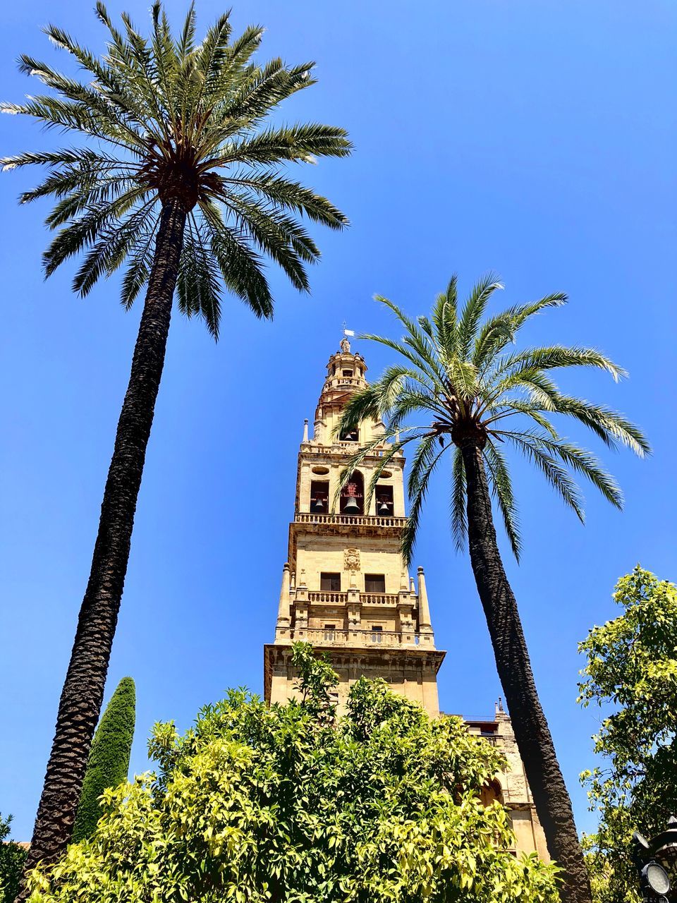 tree, sky, plant, palm tree, built structure, tropical climate, architecture, low angle view, building exterior, nature, growth, tall - high, history, the past, clear sky, day, travel destinations, no people, place of worship, building, outdoors, coconut palm tree, spire