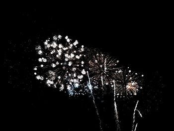 Low angle view of firework display at night