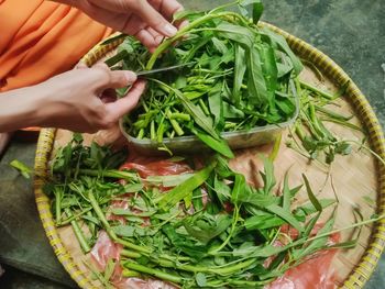 Cropped hand of person preparing food