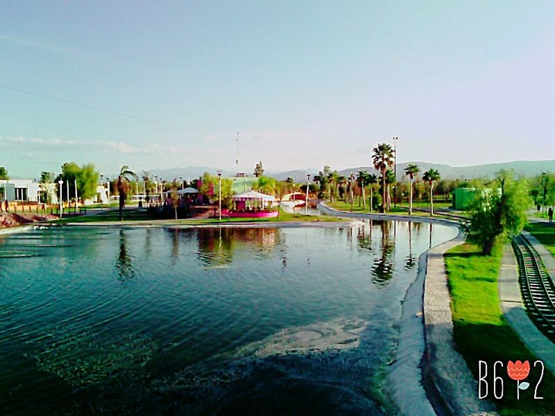 water, tree, palm tree, building exterior, sky, transportation, built structure, nautical vessel, architecture, clear sky, mode of transport, moored, boat, reflection, outdoors, nature, house, sea, day, incidental people