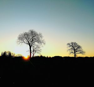Silhouette bare trees on field against sky at sunset
