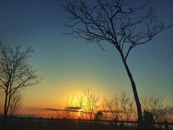 Silhouette bare tree against sky during sunset