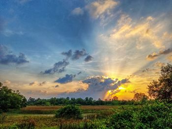 Scenic view of field against sky during sunset