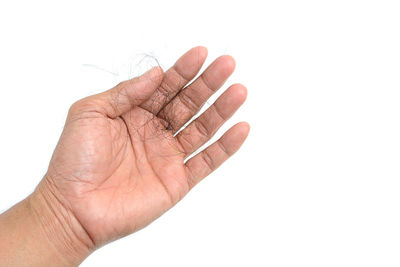 Close-up of hand holding leaf against white background