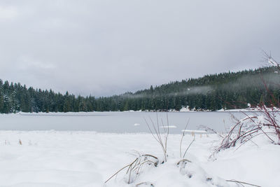 Scenic view of snow covered field against sky