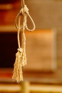 Close-up of rope hanging at home