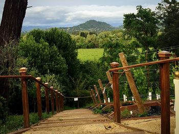 Wooden footbridge leading towards trees