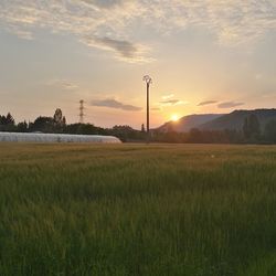 Scenic view of field against sky during sunset