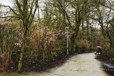 Man cycling on bicycle amidst trees