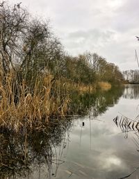 Scenic view of lake against sky