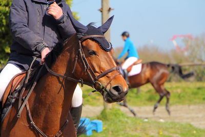 Close-up of horse riding