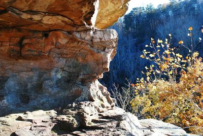 Rock formations on cliff