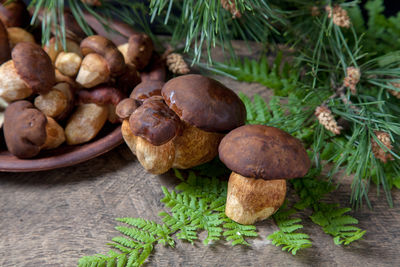 Close-up of mushrooms on table