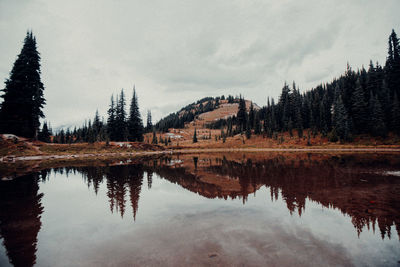 Reflection of trees in lake against sky