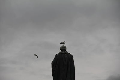 Low angle view of bird flying against sky