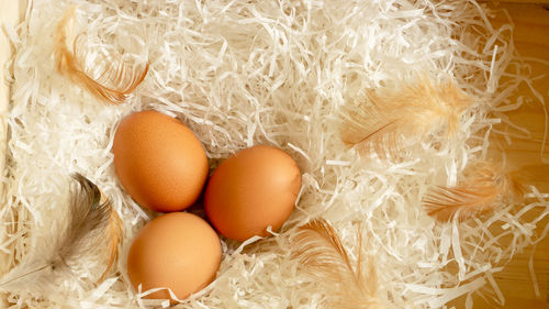 Three brown hen eggs and chicken feather on white shredded paper in wooden basket, top view photo