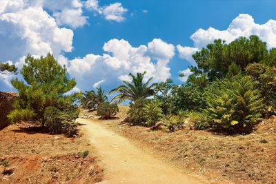 Road amidst trees against sky