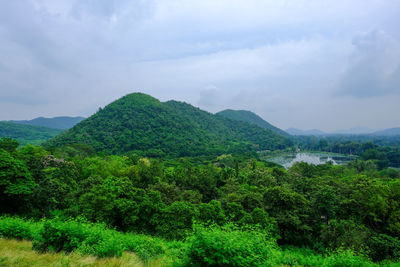 Scenic view of forest against sky