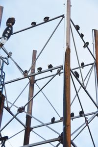 Low angle view of lots chimneys and eagles against clear sky