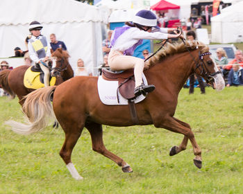 People riding horses on field