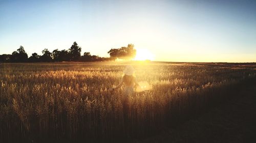 Scenic view of landscape at sunset