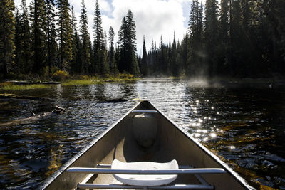 Scenic view of lake in forest