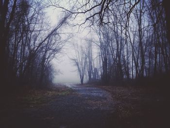Road passing through forest