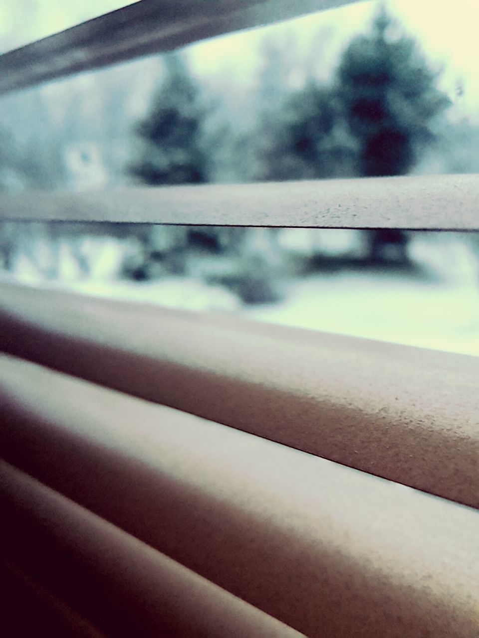 window, no people, close-up, day, winter, transportation, backgrounds, snow, focus on foreground, railroad track, rail transportation, outdoors, cold temperature, nature, sky, tree