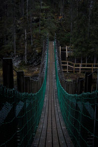 View of footbridge in forest