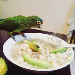 High angle view of meal served in bowl