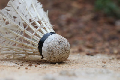 Blur and macro used shuttlecock on the ground with blurry background and white space