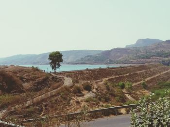 Scenic view of landscape against clear sky