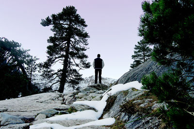 Woman standing on tree trunk