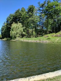 Scenic view of lake by trees against sky