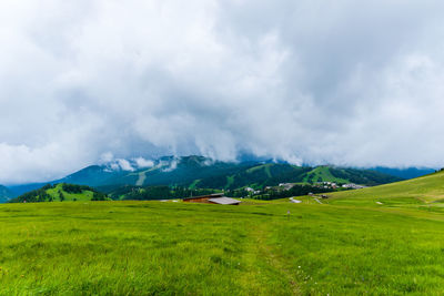 environment