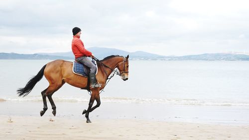 Man riding horse