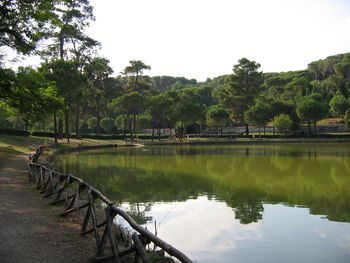 Reflection of trees in lake