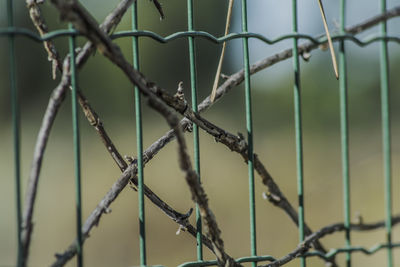 Close-up of barbed wire fence